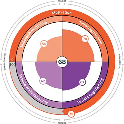 Das Rad der emotionalen Intelligenz EQ