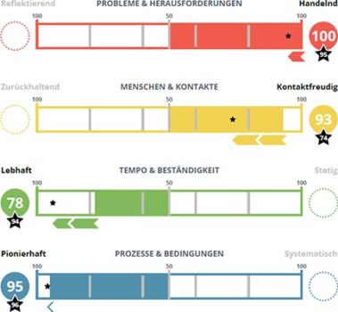 INSIGHTS MDI Verhaltensspektrum