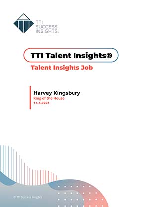 Musterreport Talent Insights Job